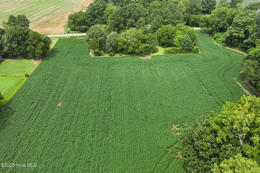 175 Union Hall Road, Hertford, NC 27944 - Image #3