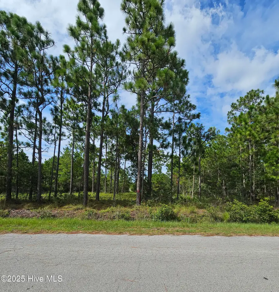 0000 Hines Stump Sound Church Road, Holly Ridge, NC 28445 - Image #3