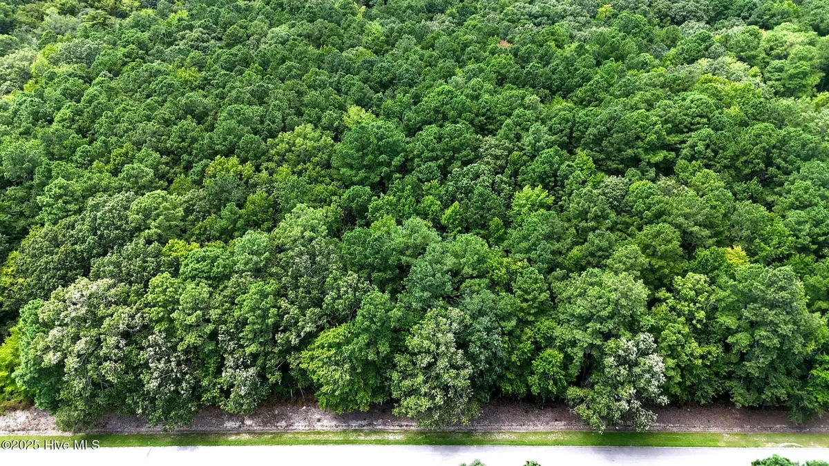 Tbd Boat Ramp Road, Hertford, NC 27944 - Image #1