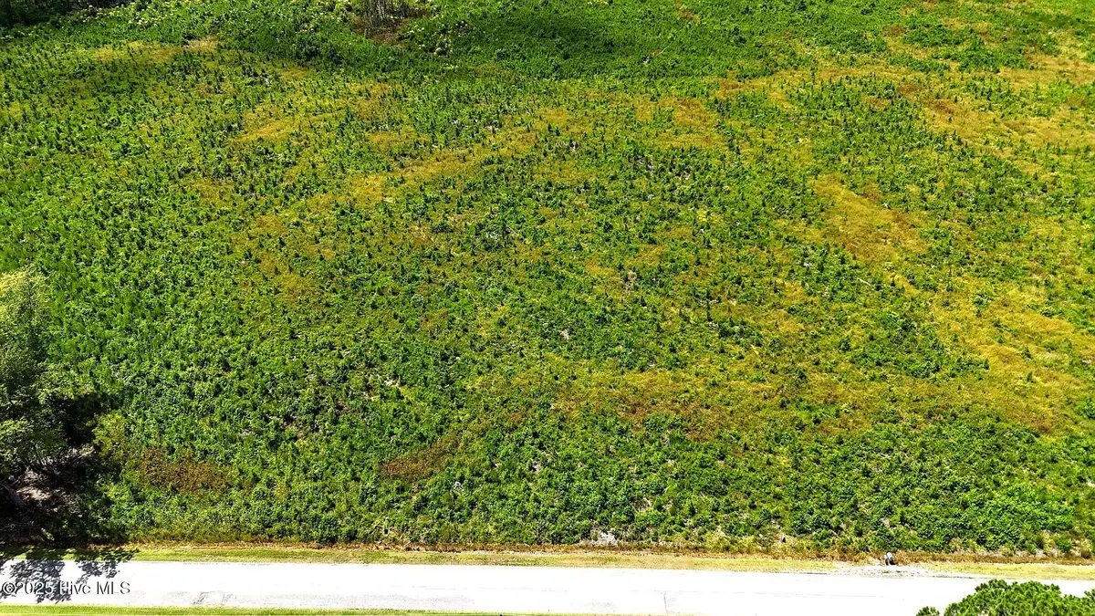 Tbd Cove Road, New Hope, NC 27944 - Image #1