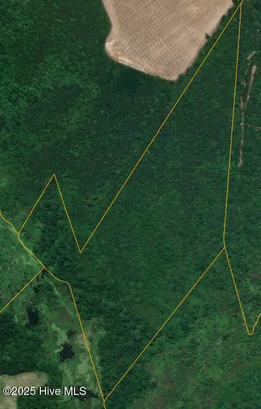 0 E Darden Road, Faison, NC 28341 - Image #1