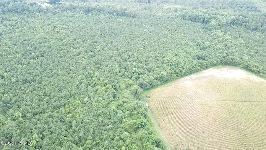 0 E Darden Road, Faison, NC 28341 - Image #2