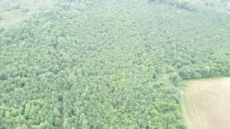 0 E Darden Road, Faison, NC 28341 - Image #3