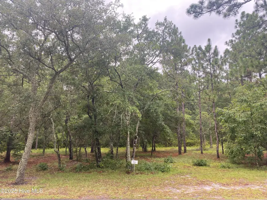 3603 Concordia Avenue Sw, Supply, NC 28462 - Image #2