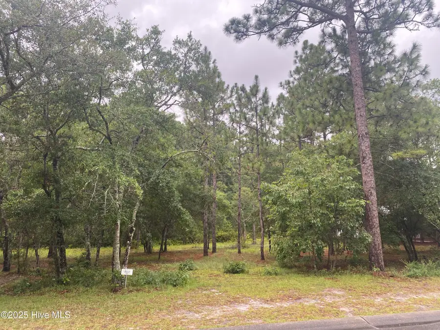 3603 Concordia Avenue Sw, Supply, NC 28462 - Image #3