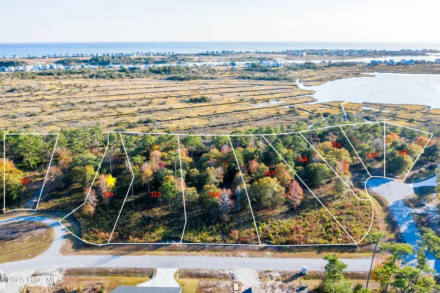 333 Landon Lane, Sneads Ferry, NC 28460 - #2