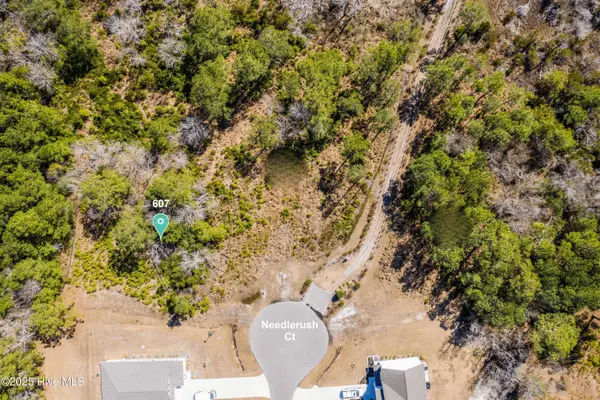 607 Needlerush Court, Sneads Ferry, NC 28460