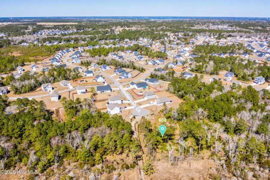 608 Needlerush Court, Sneads Ferry, NC 28460 - #2