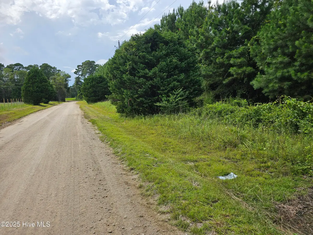 Lot 10 & 9 Powell Lane, Loris, SC 29569 - Image #1