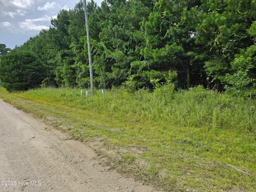 Lot 10 & 9 Powell Lane, Loris, SC 29569 - Image #3