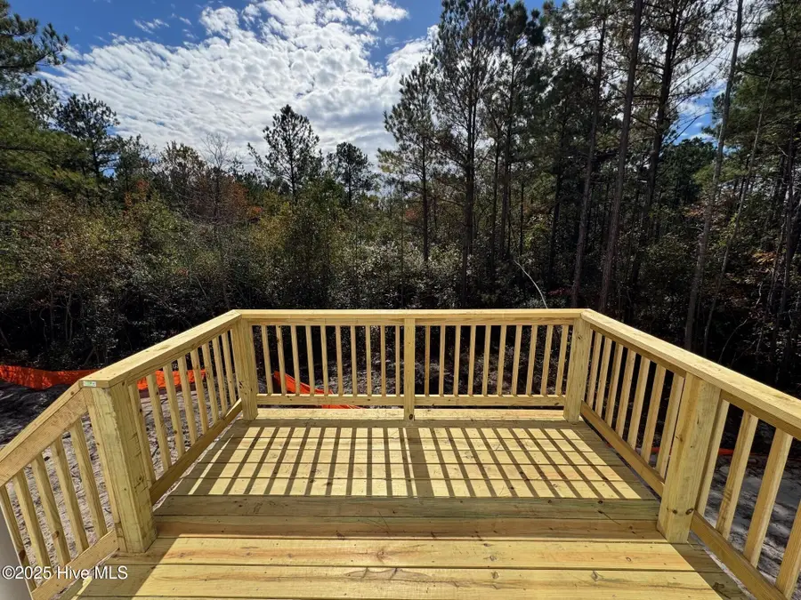 217 Horse Trot Lane, Johnsonville, NC 27332 - Image #3