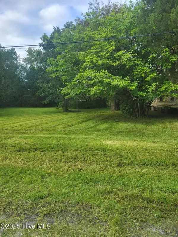 1 Lot N/S Pungo Parcel #29832 Street, Belhaven, NC 27810