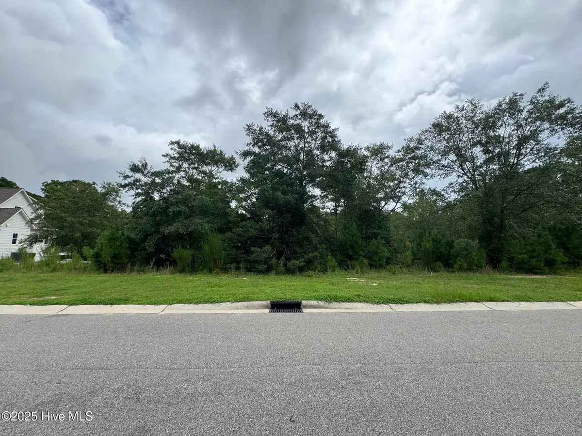 3906 Bay Colony Road Ne, Leland, NC 28451 - Image #1