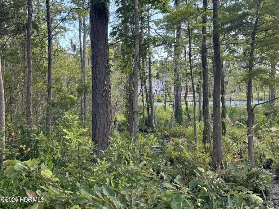 318 Megan Loop South, Hertford, NC 27944 - Image #3