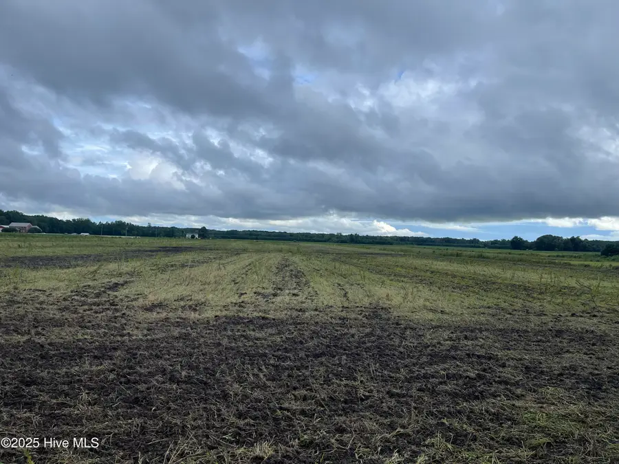 Tbd Ryland Road, Tyner, NC 27980 - #2