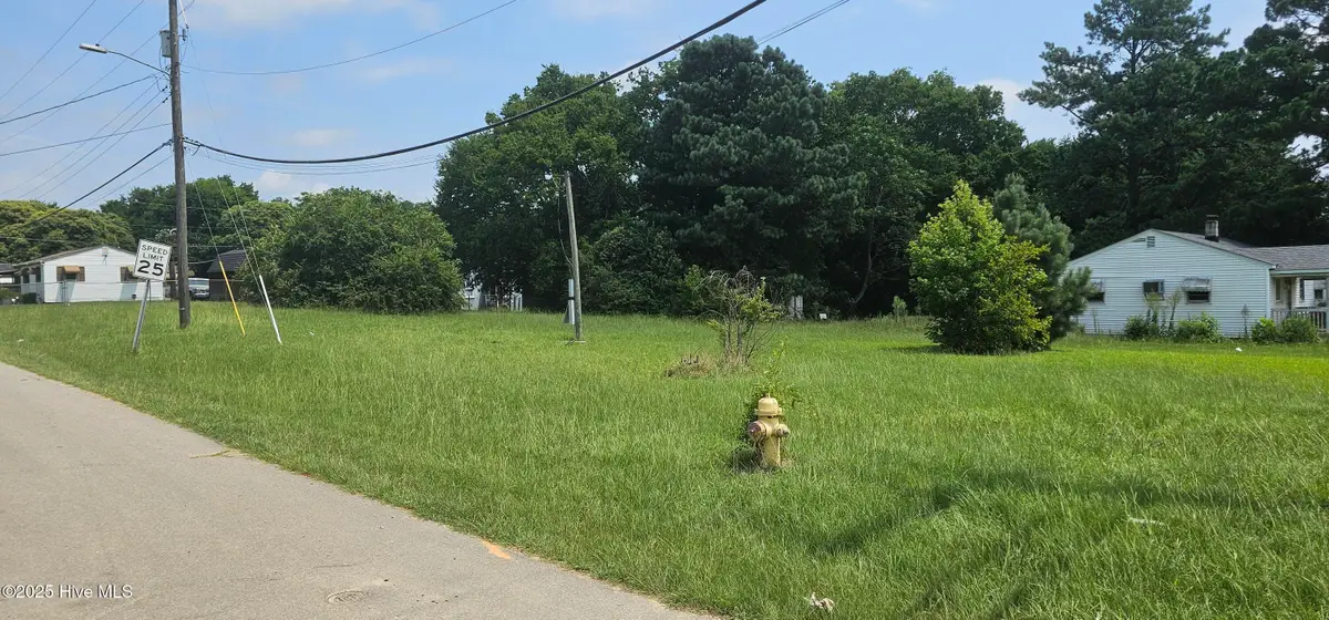 Tbd County Road, Weldon, NC 27890 - #1