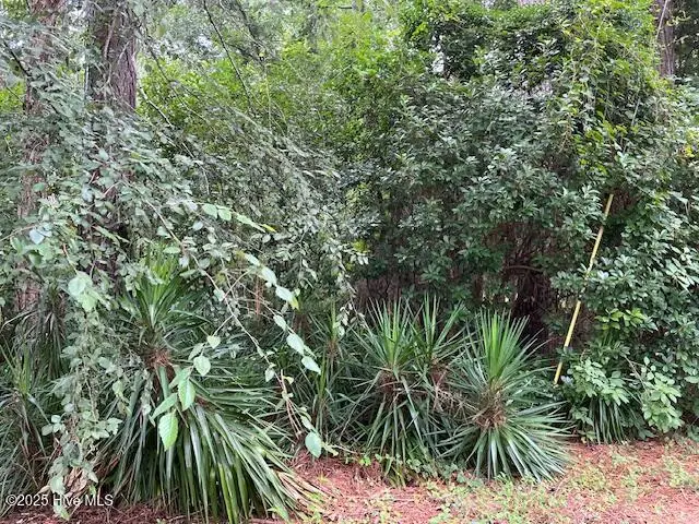 317 Crestwood Circle, Pinetops, NC 27864 - Image #1