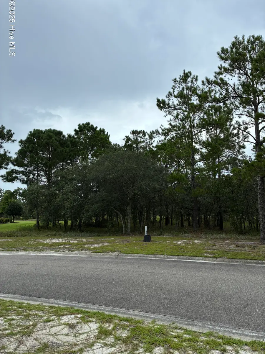 544 Bendigo Passage Court Se, Bolivia, NC 28422 - Image #3