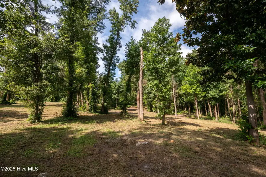 Tract A-1 Nc 133 Highway, Rocky Point, NC 28457 - Image #3