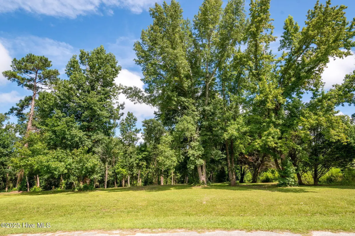 Tract A-2 Nc 133 Highway, Rocky Point, NC 28457 - Image #1