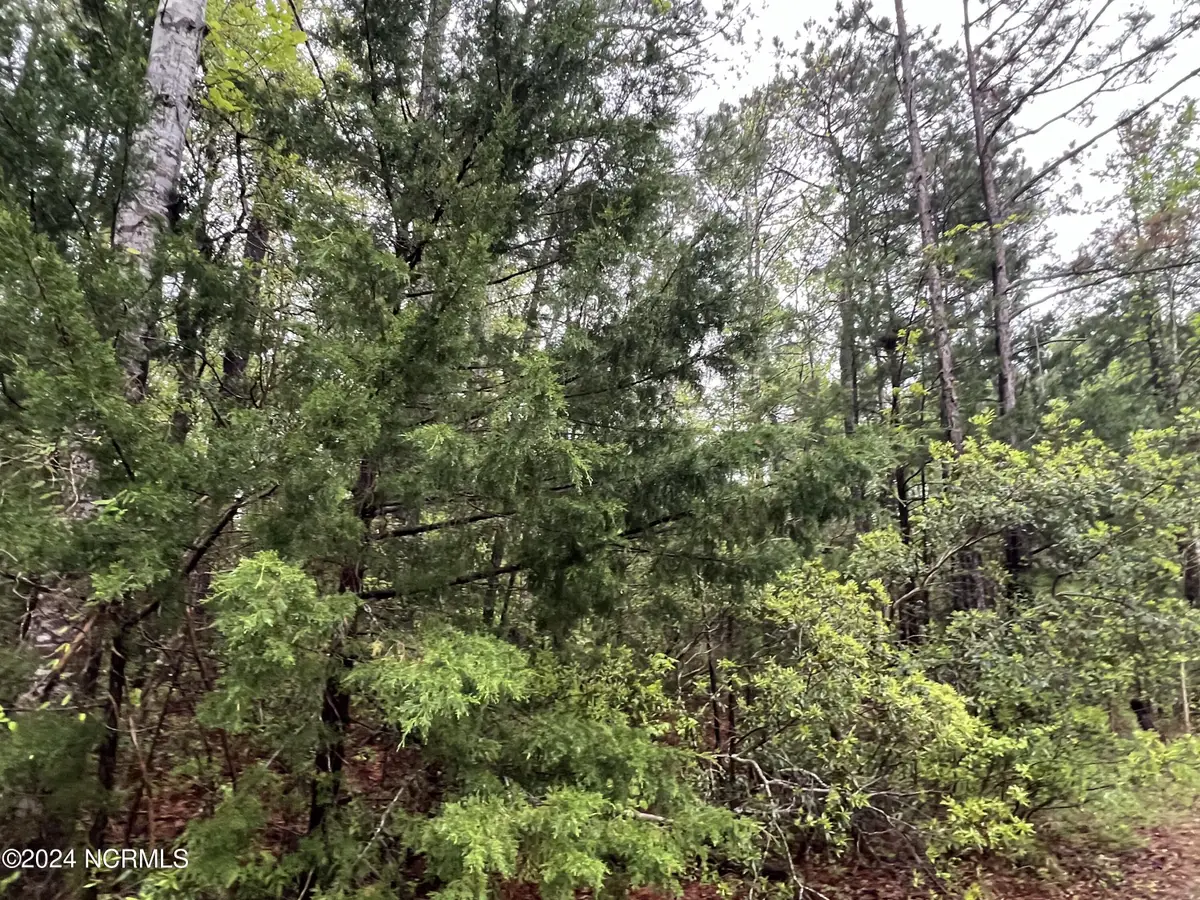 679 Westwind Drive Sw, Supply, NC 28462 - Image #1