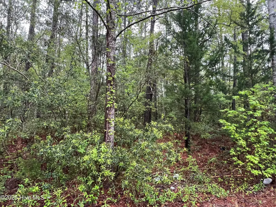 679 Westwind Drive Sw, Supply, NC 28462 - Image #2