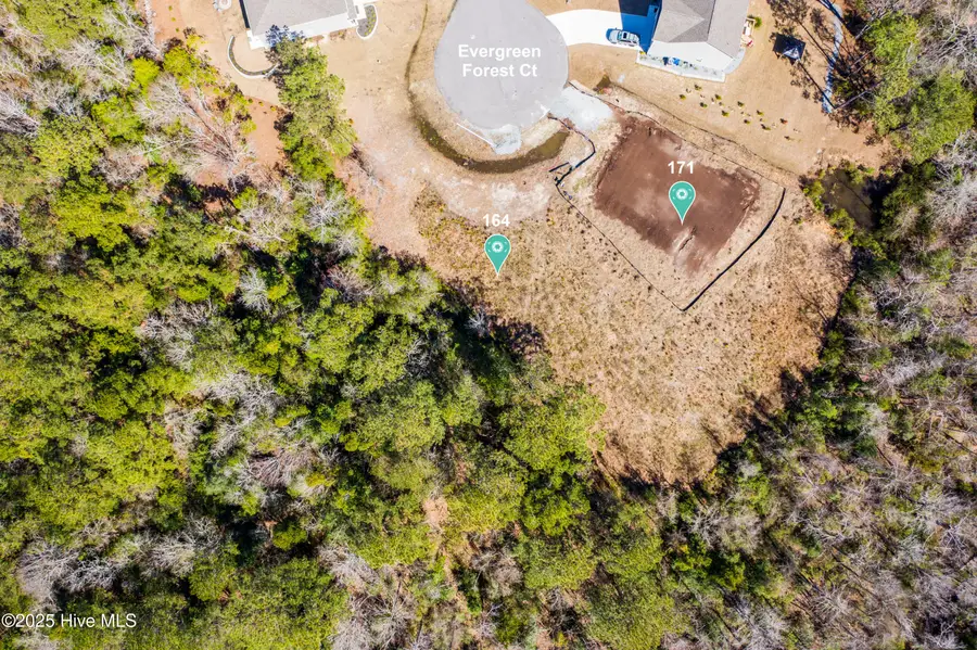 171 Evergreen Forest Court, Sneads Ferry, NC 28460 - Image #3