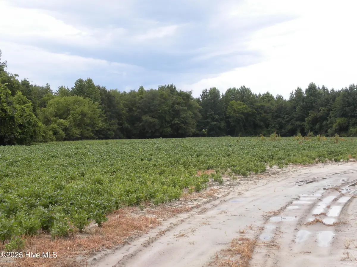 Tbd Conetoe Road, Greenville, NC 27834 - Image #1