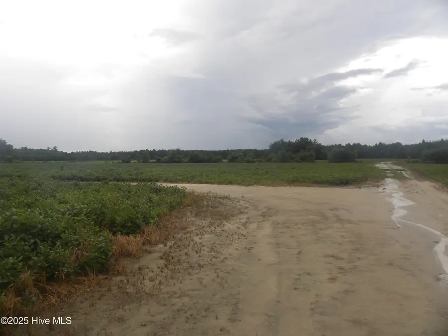 Tbd Conetoe Road, Greenville, NC 27834 - Image #3