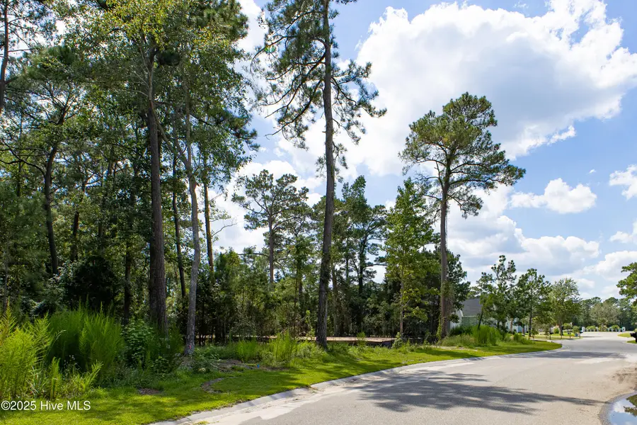 6077 Ocean Isle Palms Way Sw, Shallotte, NC 28470 - Image #3