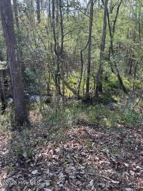 9273 Buccaneer Court Ne, Leland, NC 28451 - Image #3