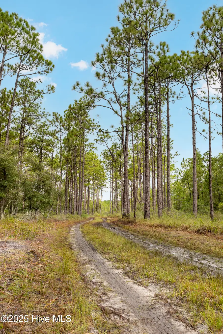 17 Hwy Off, Hampstead, NC 28443 - Image #3