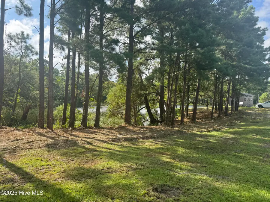 585 Creek Place Road, Arapahoe, NC 28510 - Image #3