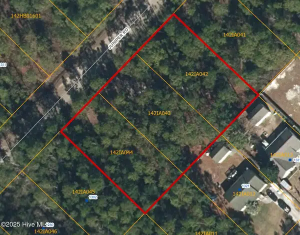 Lot 45-47 Juniper Road, Boiling Spring Lakes, NC 28461