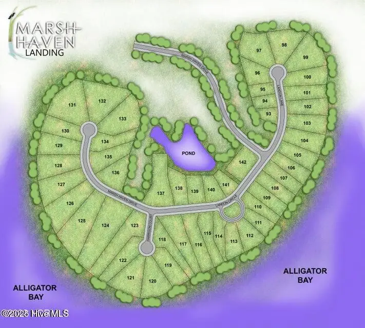 405 Harrison Court, Sneads Ferry, NC 28460 - Image #3