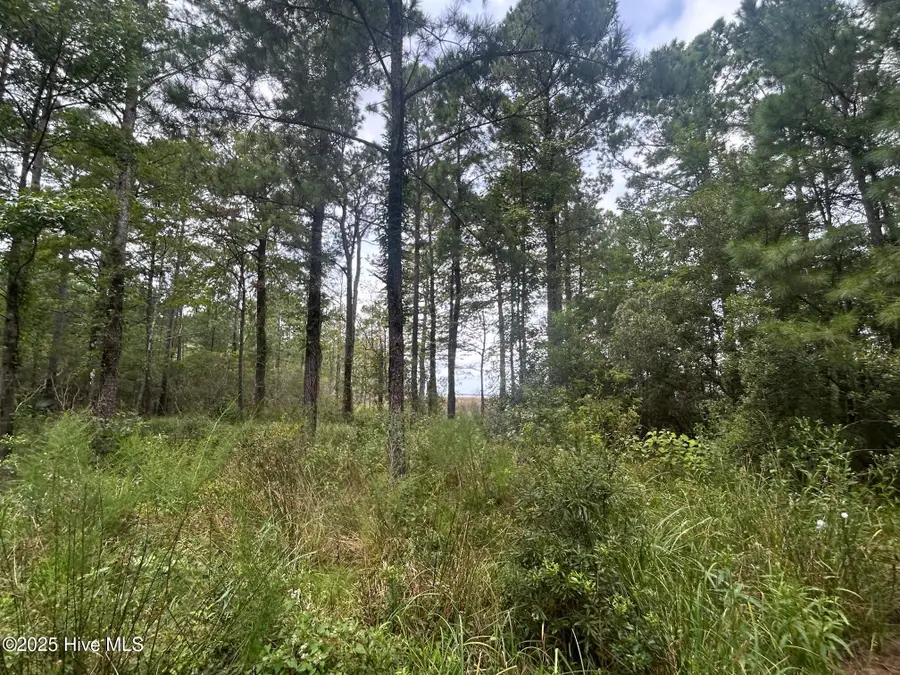 297 Garbacon Drive, Beaufort, NC 28516 - Image #3