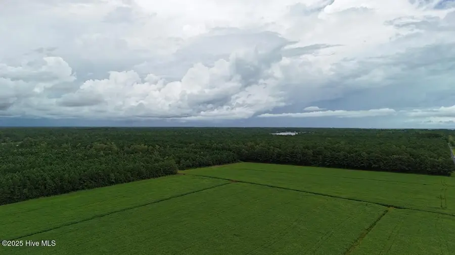 Off Oriental Road, Oriental, NC 28571 - Image #3