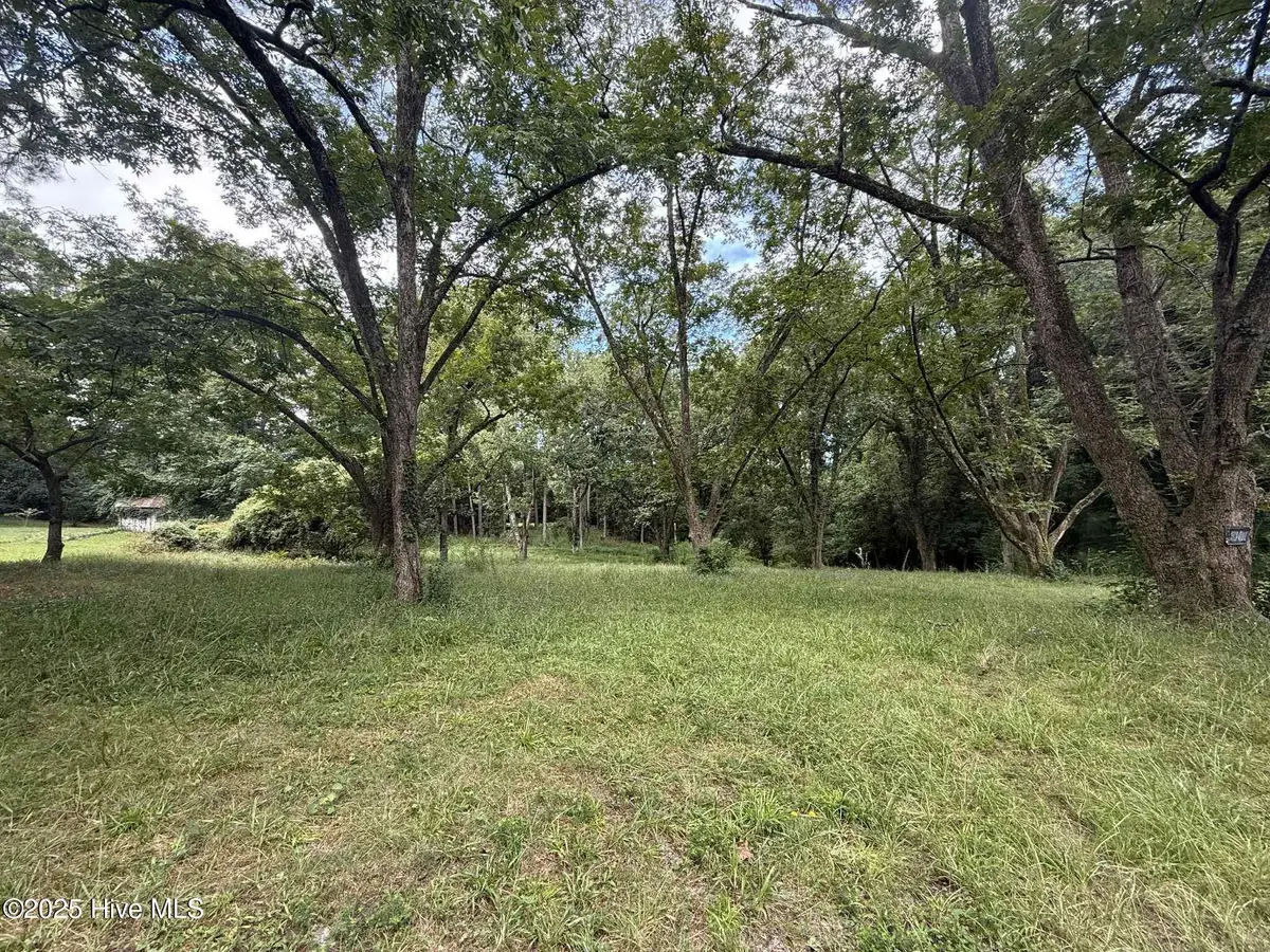 105 Davis Street, Carthage, NC 28327 - Image #1