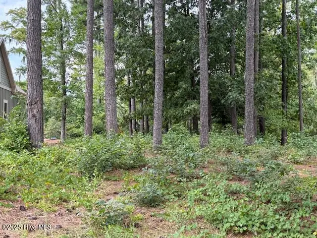 38 Robert Court, Hertford, NC 27944 - Image #2