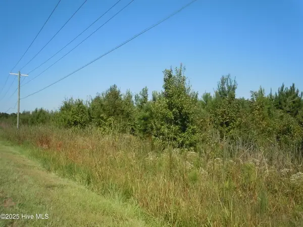 Tbd Near 10700 Andrew Jackson Highway, Fair Bluff, NC 28439