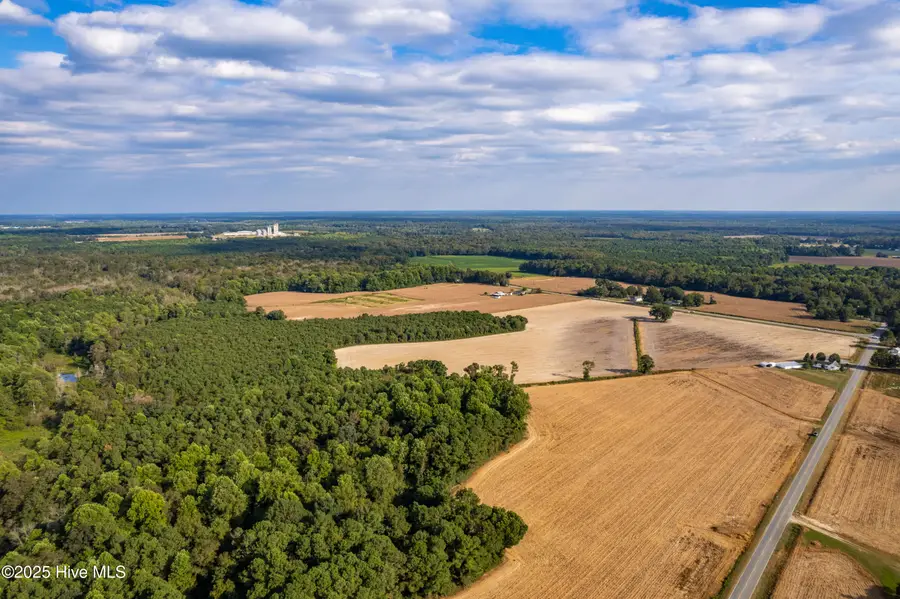 0 Moltonville Road, Clinton, NC 28328 - Image #3