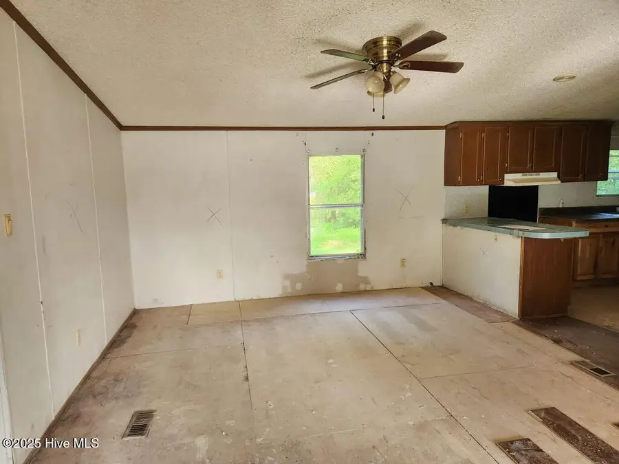 317 Newsome Grove Road, Ahoskie, NC 27910 - Image #3