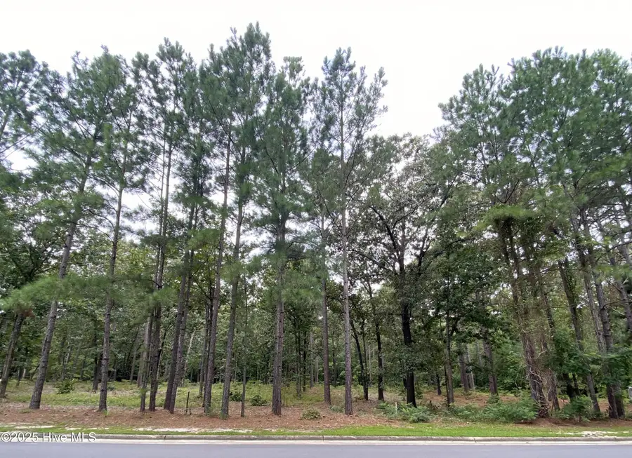 231 Meyer Farm Drive, Pinehurst, NC 28374 - Image #3