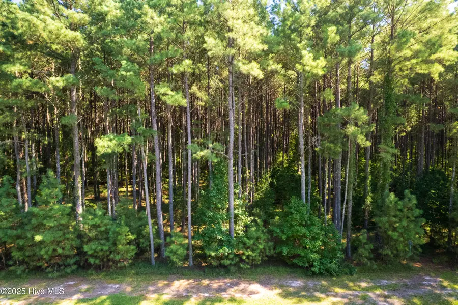 456 Riversound Drive, Edenton, NC 27932 - Image #3