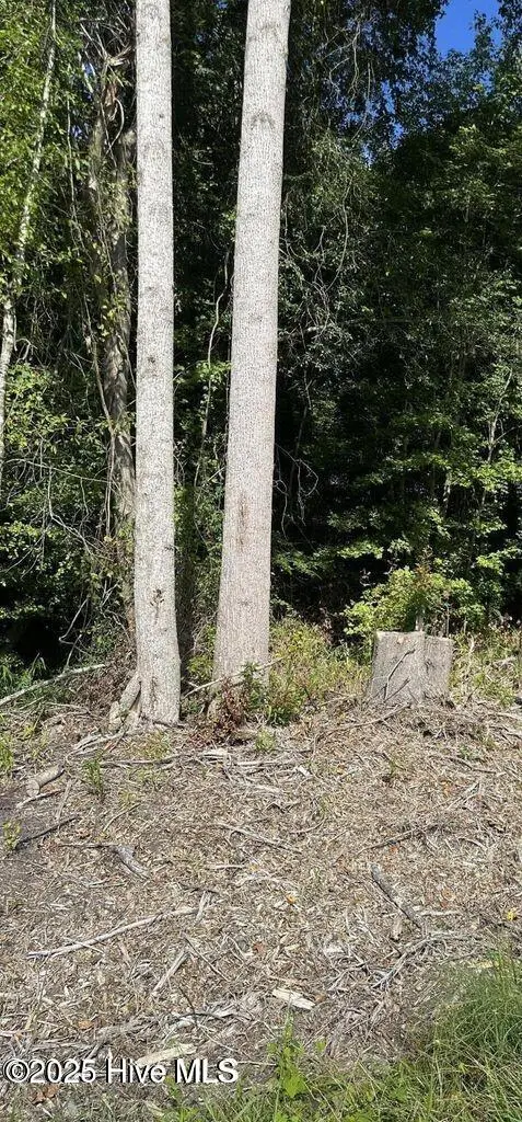 000 Perry's Bridge Road, Belvidere, NC 27919 - Image #2