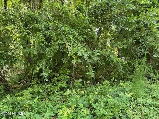 144 Hemlock Street, Hertford, NC 27944 - Image #1