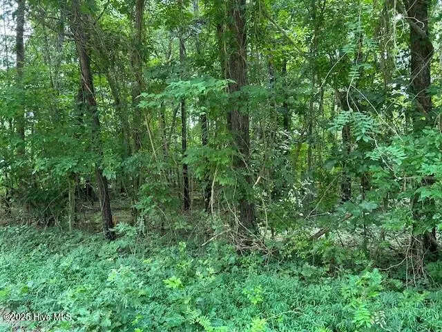 144 Hemlock Street, Hertford, NC 27944 - Image #2