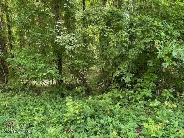 144 Hemlock Street, Hertford, NC 27944 - Image #3