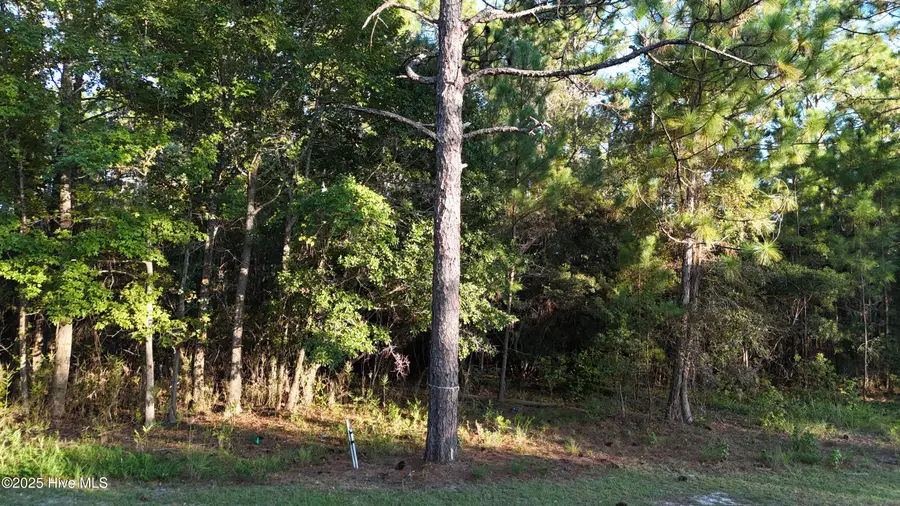 1496 Saint Lucia Drive Sw, Shallotte, NC 28470 - Image #3