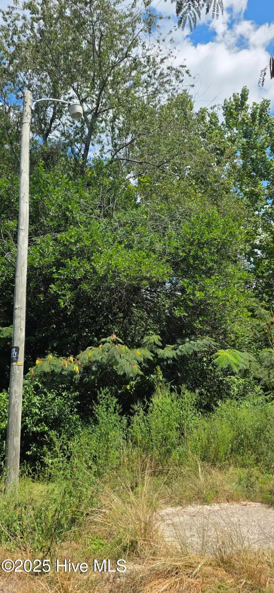 Tbd Seventh Avenue Aleo, Rockingham, NC 28379 - Image #1